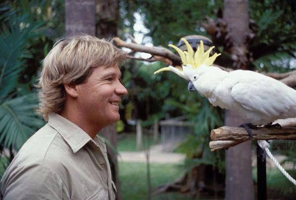 Steve Irwin and a parrot
