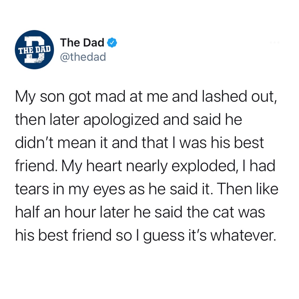 My son got mat at me and lashed out, then later apologized and said he didn't mean it and that I was his best friend. My heart nearly exploded, I had tears in my eyes as he said it. Then like half an hour later he said the cat was his best friend so I guess it's whatever. Tweet, heartbreak, animals