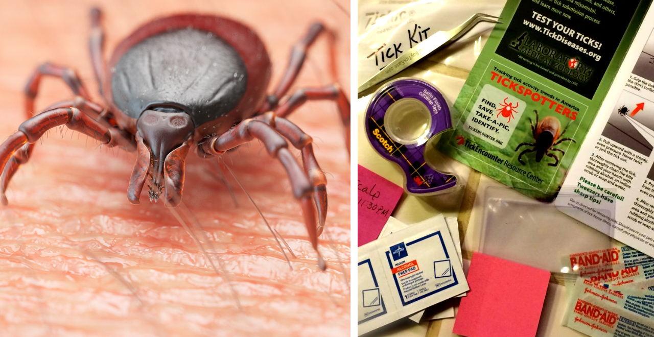 Make a Tick Kit