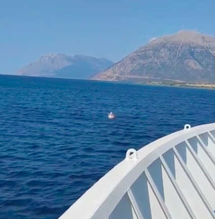 Unicorn Ferry Rescue