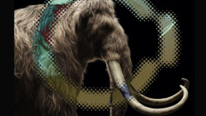 Scientists To Bring Woolly Mammoth Back From Extinction | The Dad