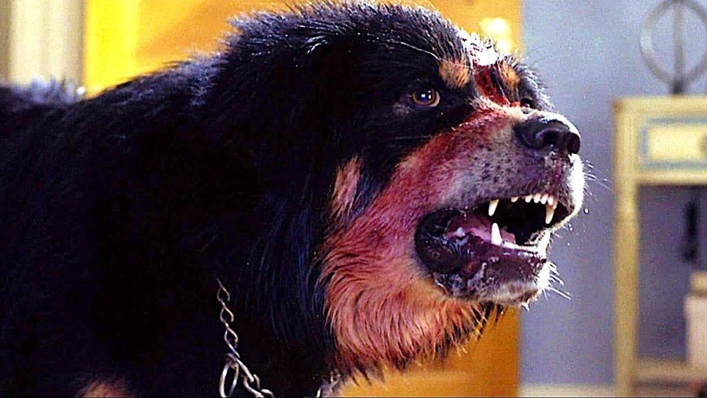17 Horror Dog Movies That’ll Make You Consider a Cat Person
